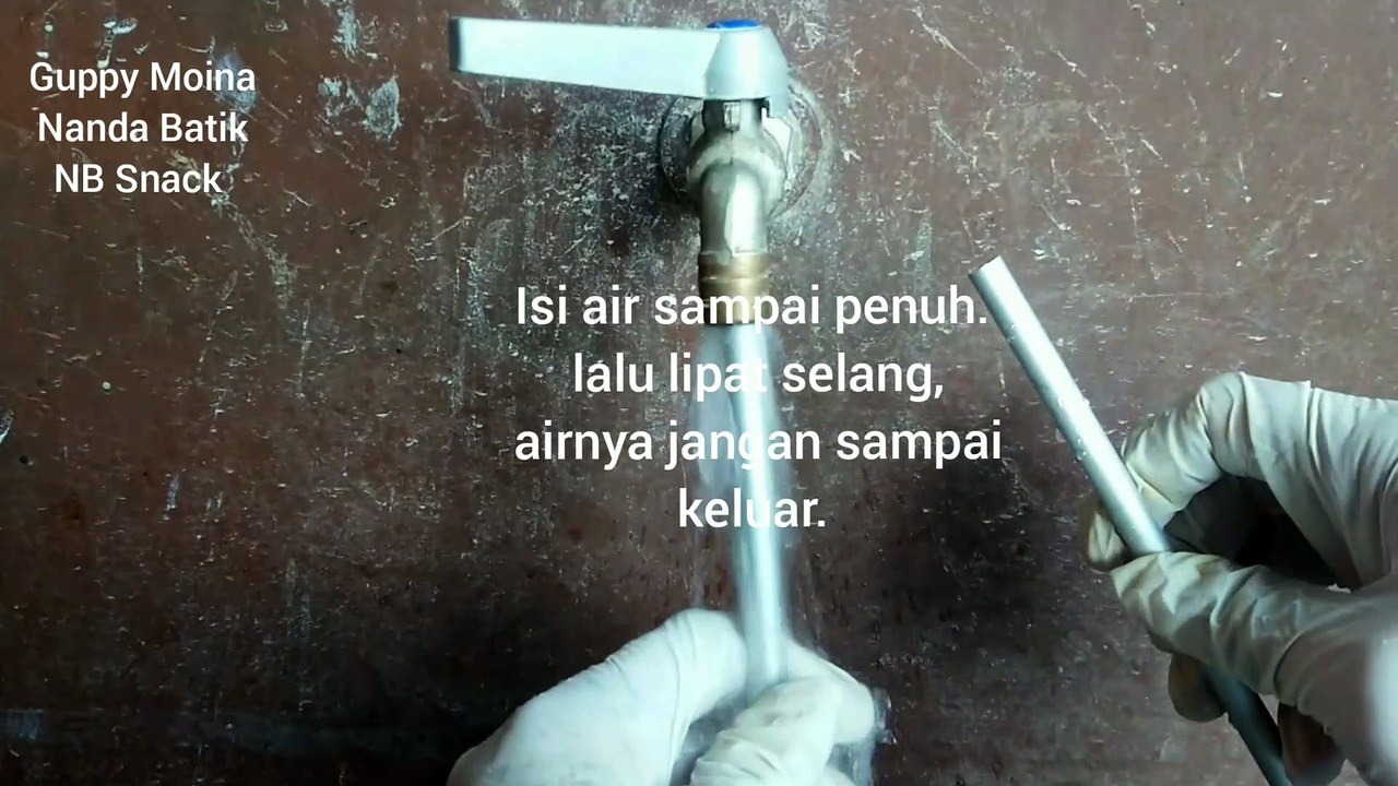 Tutorial Sifon Pada Media ikan