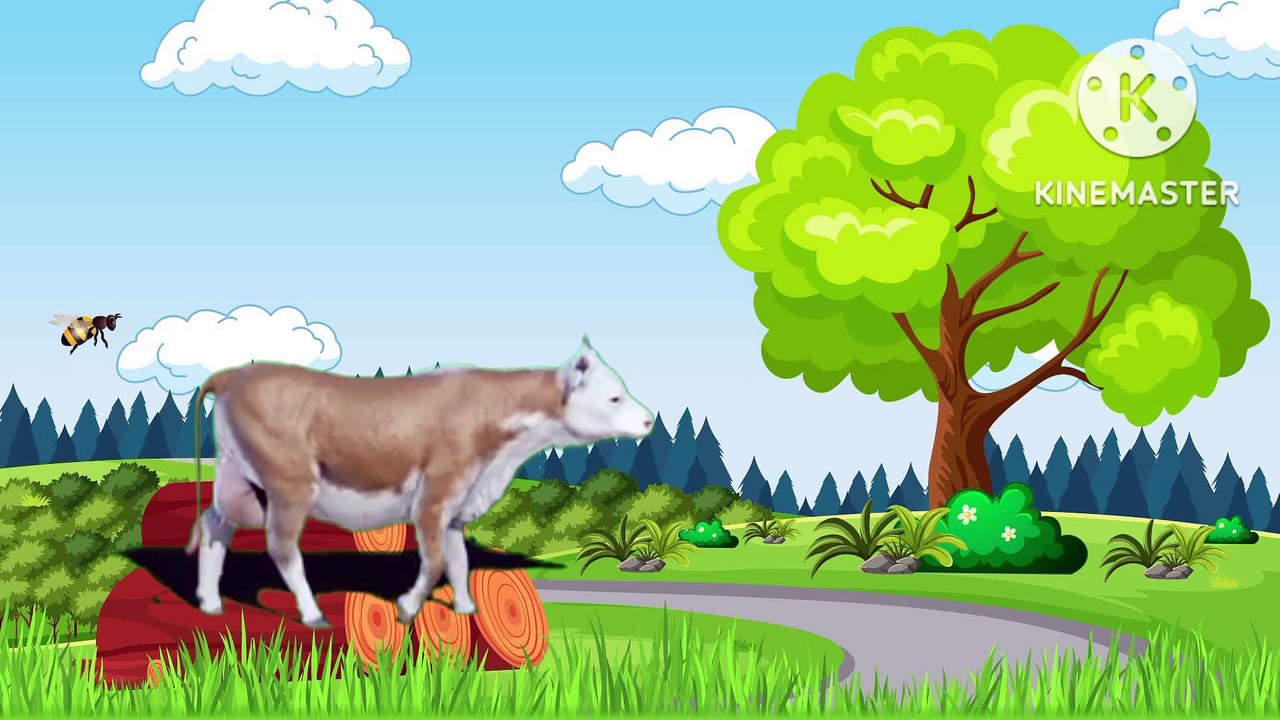 Hindi cartoon Hindi comedy show Hindi cartoon in Hindi