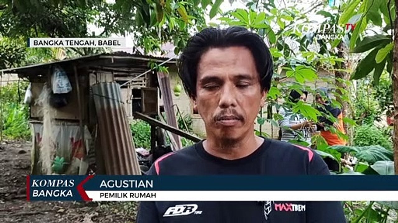 Bunga Bangkai Tumbuh di Pekarangan Rumah Warga di Bangka Tengah