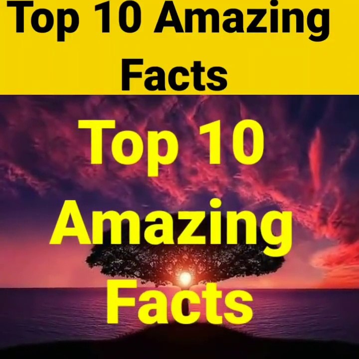 Top 10 amazing facts shorts facts #Tigersaab
