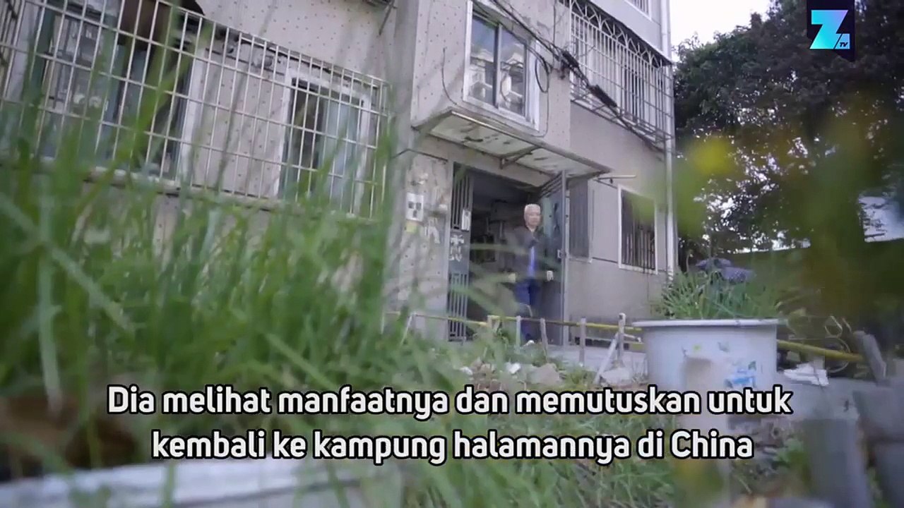 Akupunktur untuk Hewan Peliharaan