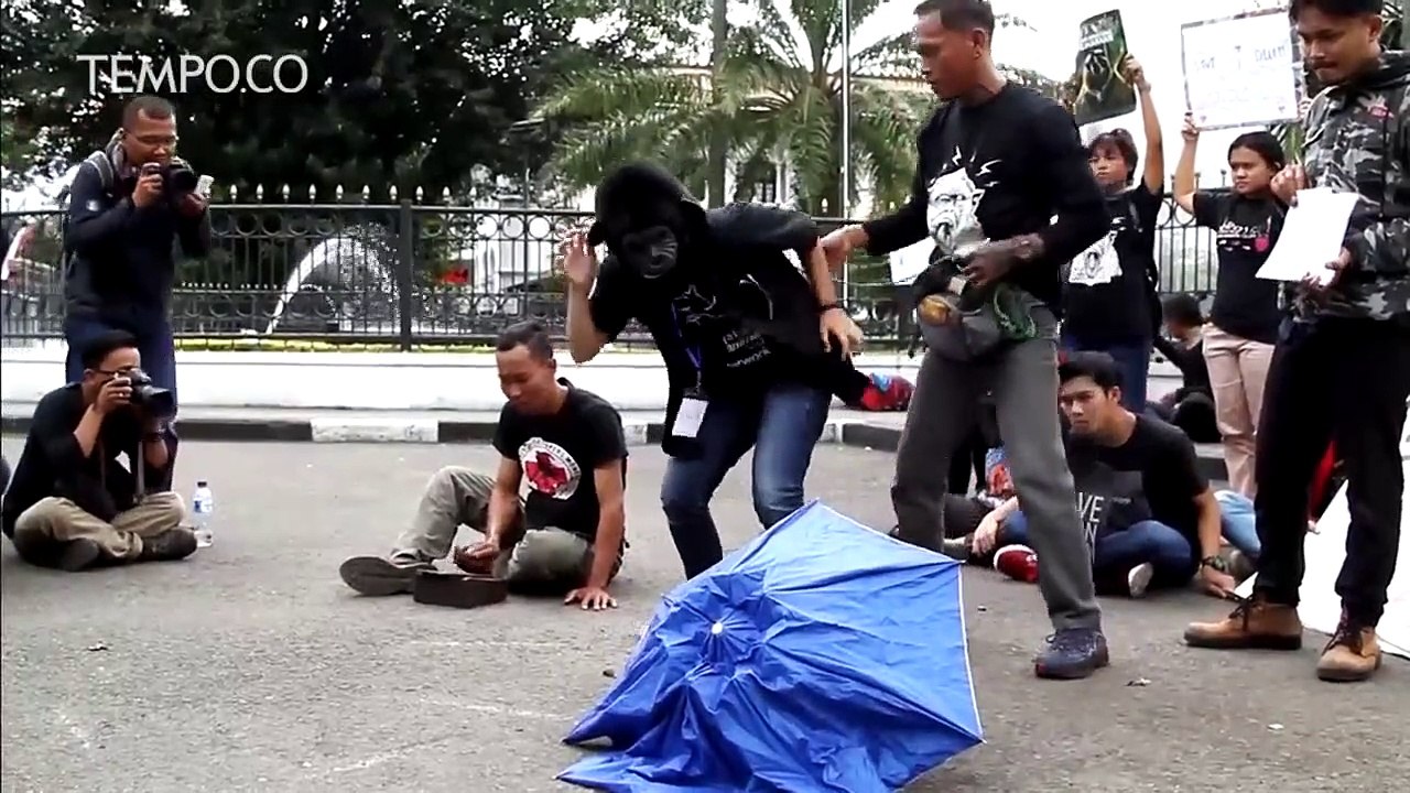 Hari Primata Nasional, Eksploitasi Topeng Monyet Masih Banyak di Perkotaan