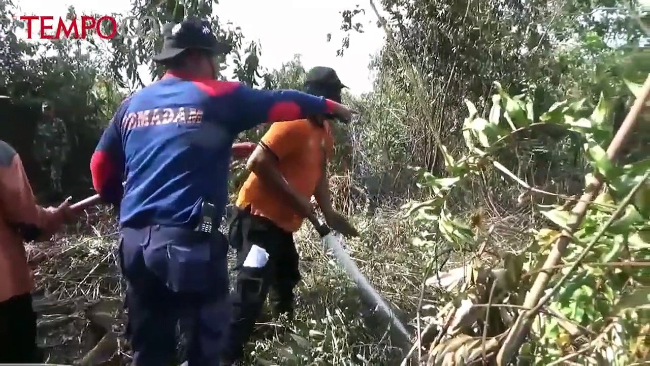 Musim Panas, Riau Mulai Dilanda Kebakaran Lahan