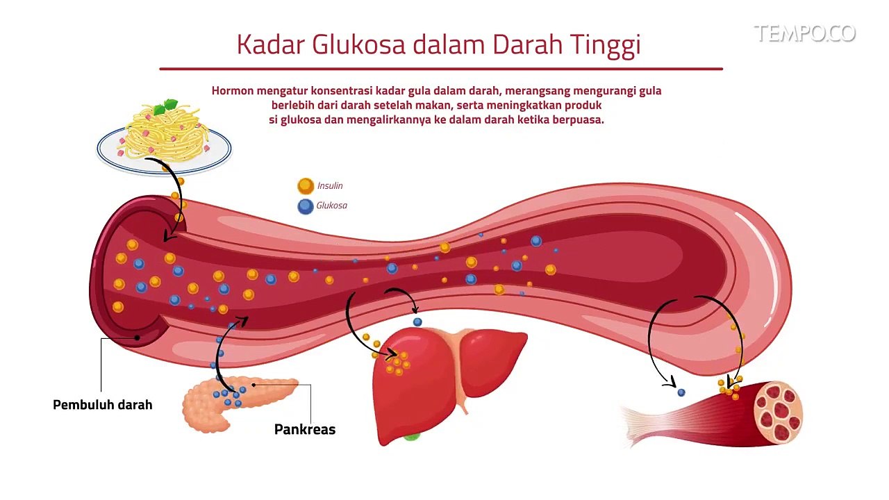 Produksi Insulin Melalui Teknologi Cahaya di Tufts University