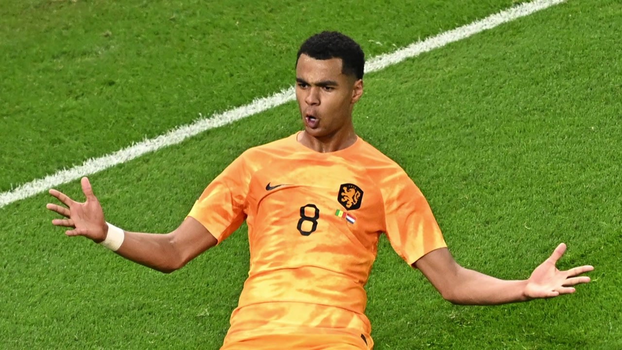 '오렌지 군단' 네덜란드, 세네갈 제압 / YTN