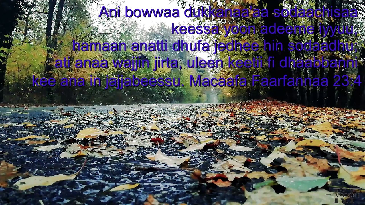 Afaan Oromo Gospel Song Mix _ New Worship _ Walzeslow Non Stop Song _ 2022 11 21