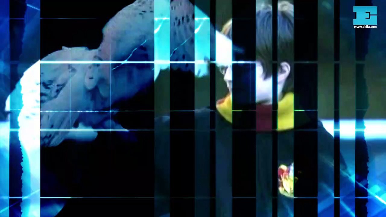 Animación y drama para renovar la cartelera local