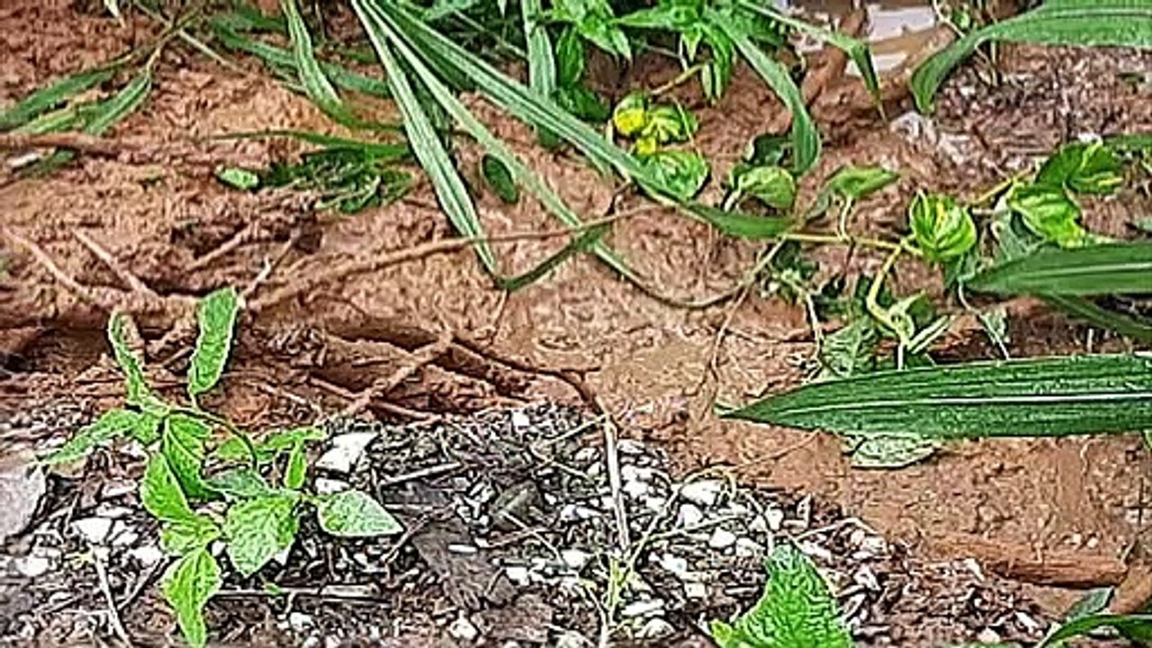 Regional Corporations Respond