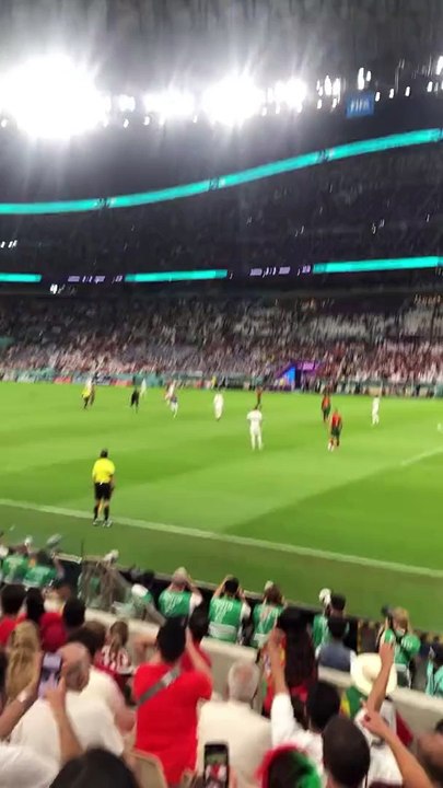 Pitch Invader With LGBT Flag During Portugal vs Uruguay Match #portugal #uruguay #qatar2022