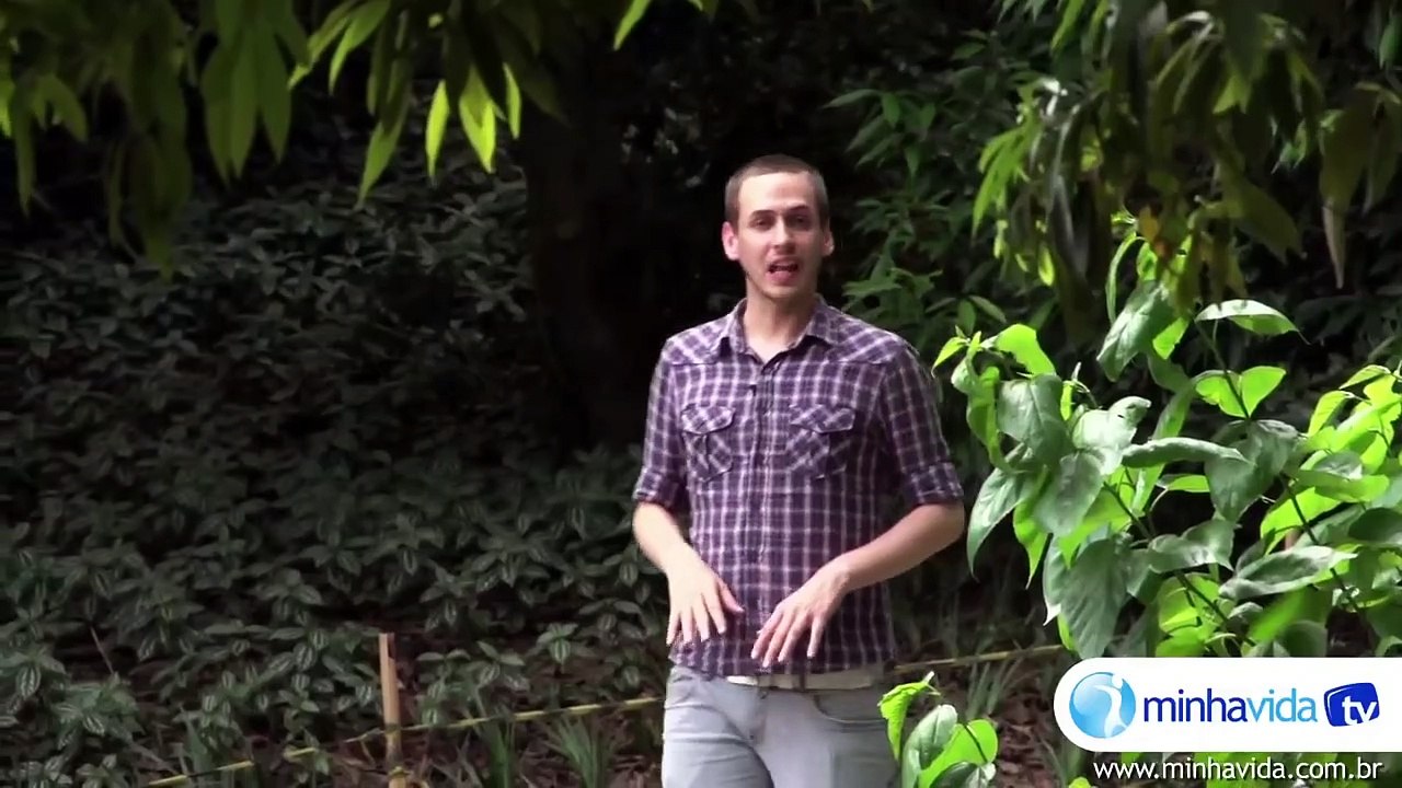 O que é leishmaniose?