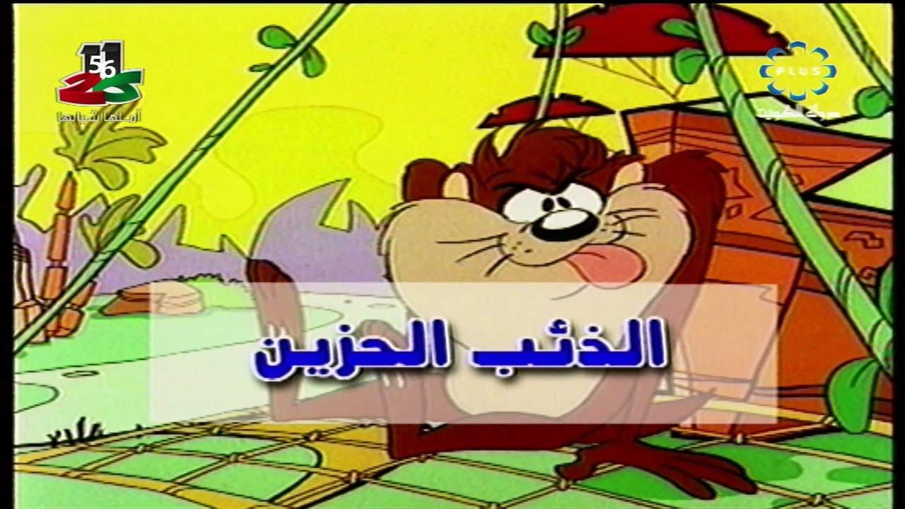 تاز المشاكس - الذئب الحزين