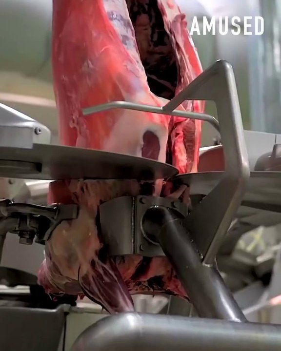 Food Industry Machines That Are At Another Level