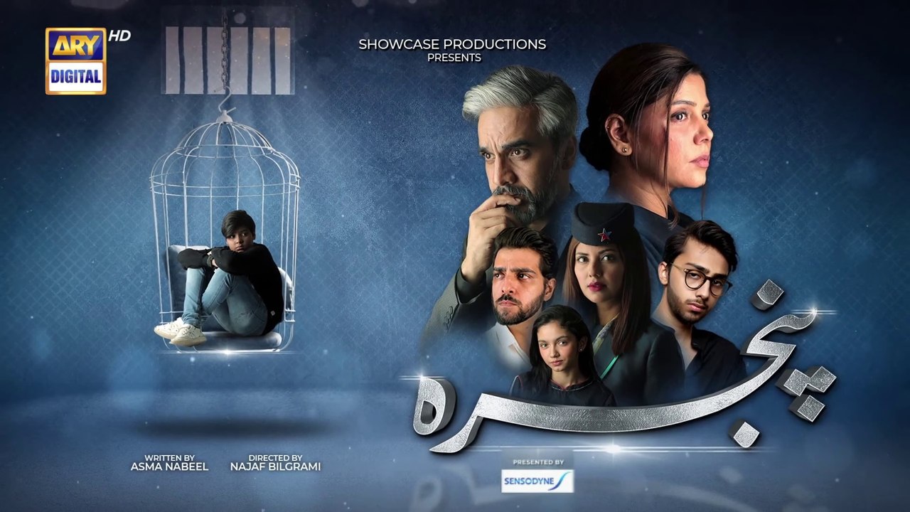 Pinjra Episode 10 -  1st December 2022 - ARY Digital Drama