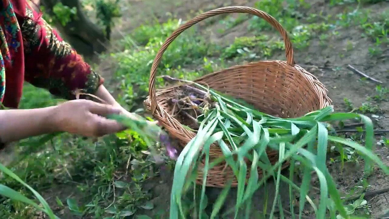 Whole Turkey & Goose Staffed with Plum, Potato, Eggplant & Veggies in the Village