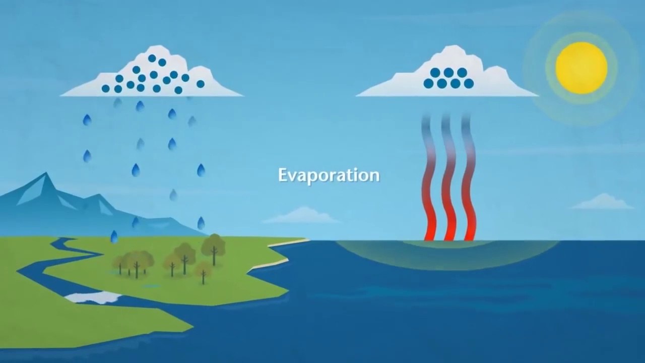 Understanding Rain Formation and the Water Cycle