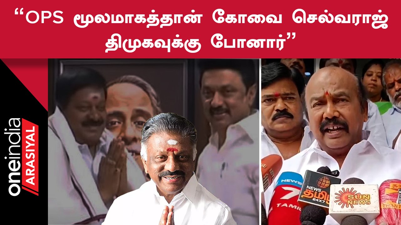 OPS தனிக்கட்சி ஆரம்பித்தால் எங்களுக்கு எந்த பிரச்சனையும் இல்லை - Rajan Chellappa MLA