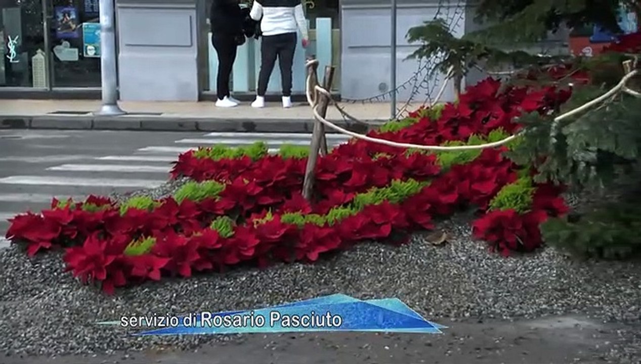 VANDALI IN AZIONE IN CENTRO