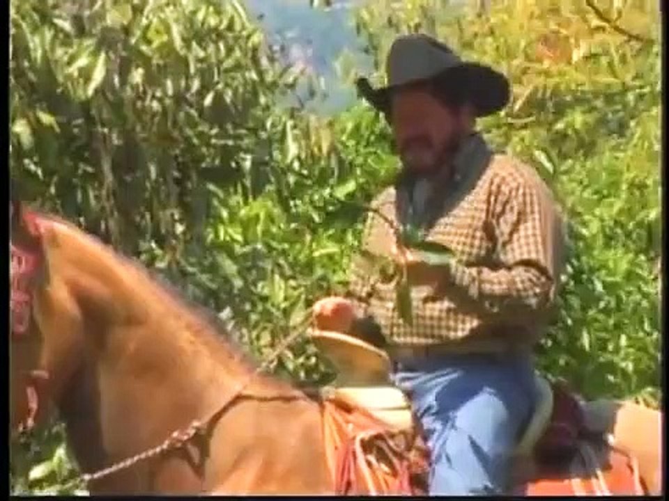 EL AGUACATERO PELICULA COMPLETA