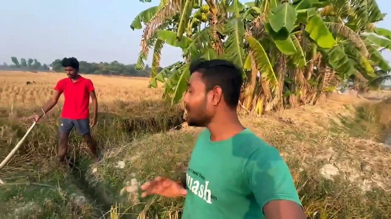 Wild Life Of Sundarban