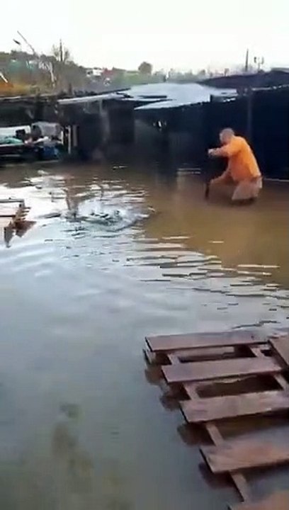 resgate, cão, bombeiros, loures