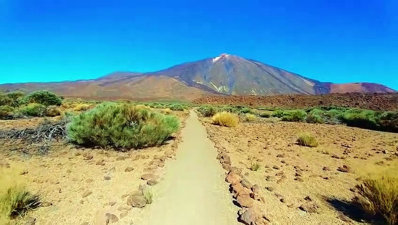 Morning motivation motivation speaker motivation video