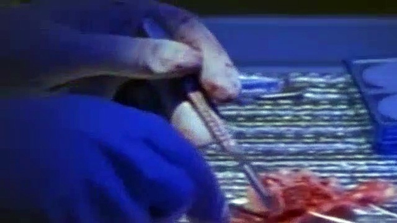 The Outer Limits S04E13 The Joining