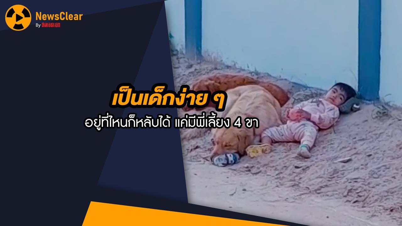 เป็นเด็กง่ายๆ อยู่ที่ไหนก็หลับได้ แค่มีพี่เลี้ยง 4 ขา