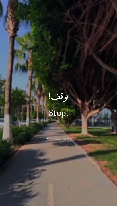 # مقاطع قصيرة #مقاطع مضحكة#مقاطع بدون حقوق#سناب شات #تيك توك