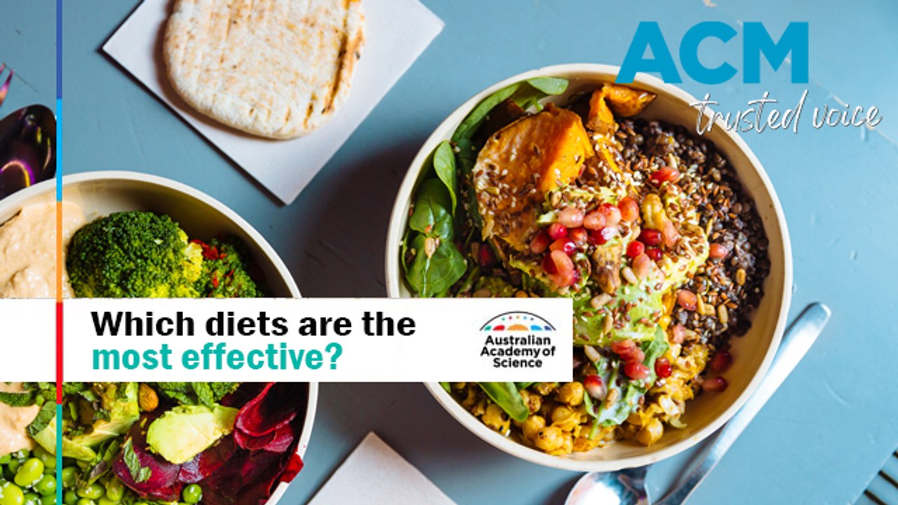 Which diets are the most effective? | Australian Academy of Science