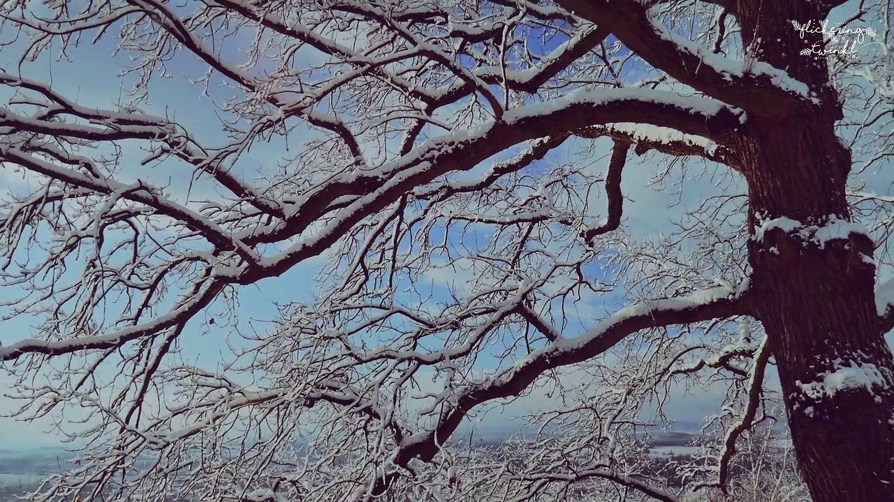 Deck The Halls - Scott Dugdale | Instrumental Christmas Music | Relaxing  Ambience | Joyeux Noël