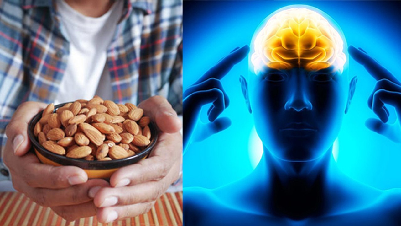 बादाम खाने से क्या सच में दिमाग बढ़ता है । Badam Khane Se Kya Sach Me Dimag Badta Hai । *Health