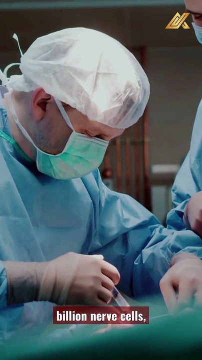 Introduction The Human Brain #shorts