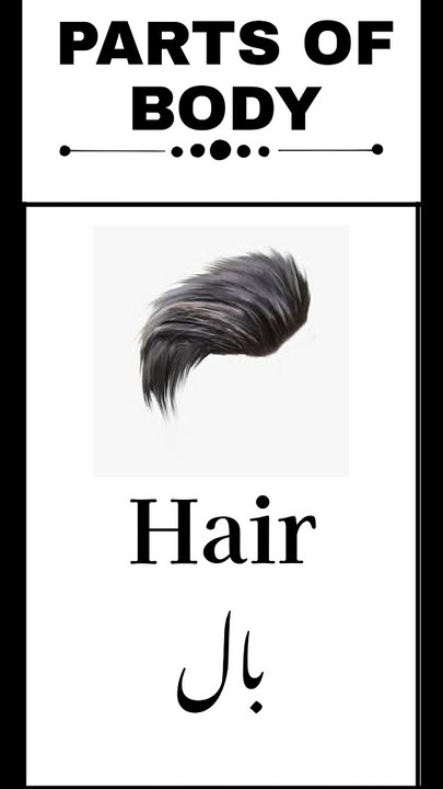 Parts of body. Learn parts of body in English