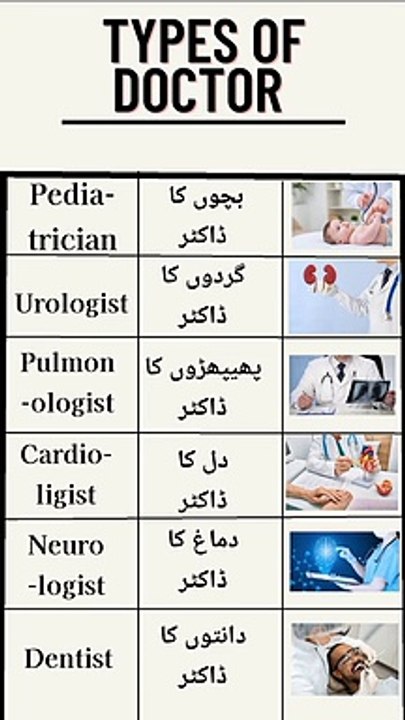 Types of doctors in English.