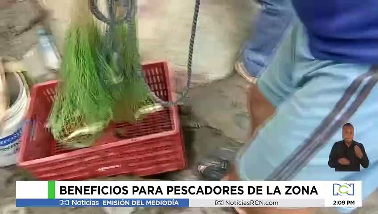 Llegó la subienda a Honda, Tolima