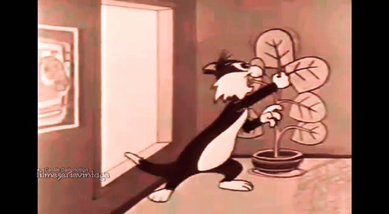 GATTO SILVESTRO E TITTI IL CANARINO