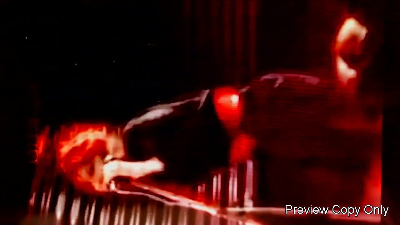 The Woolworths Choir of 1979 (Elizabeth Price 2012)