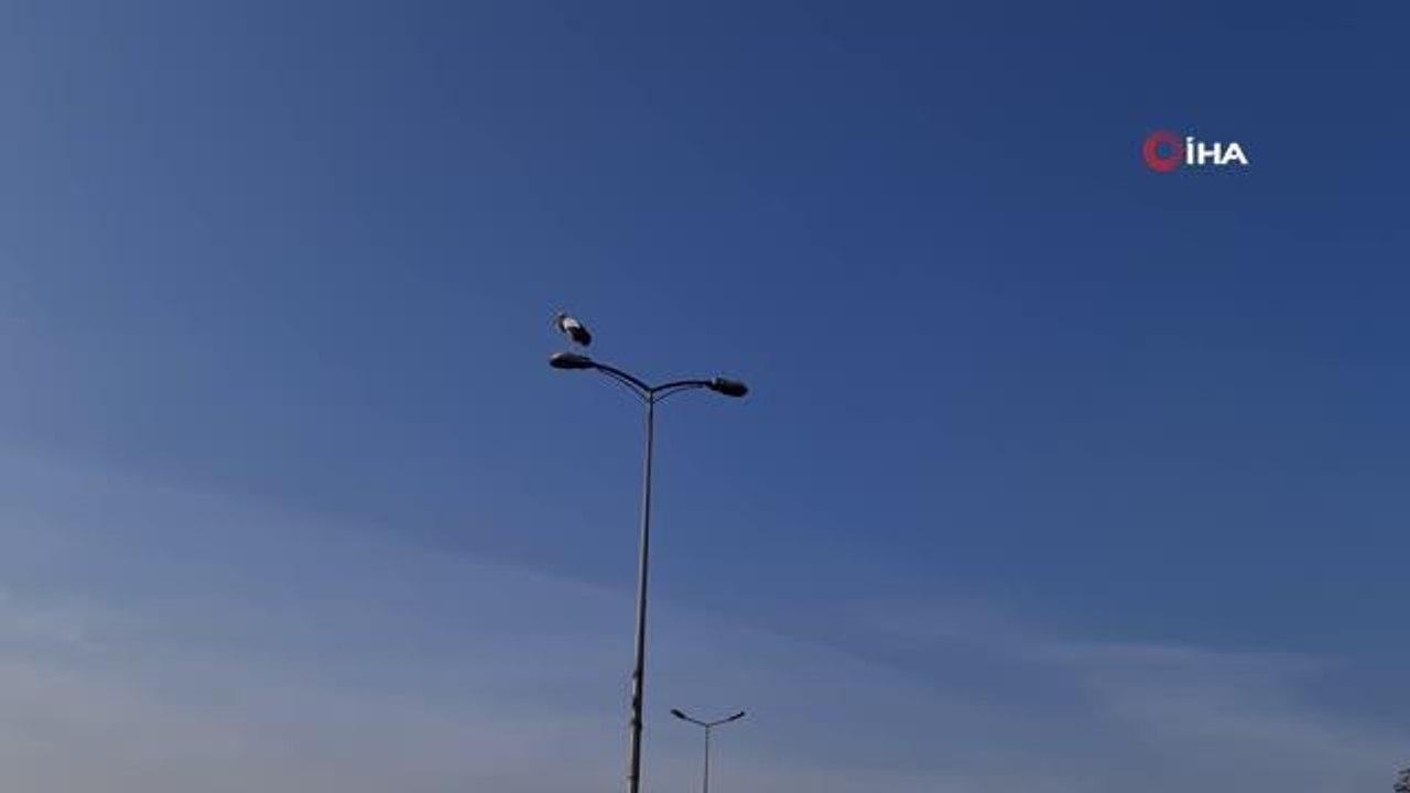 'Baharın habercisi' Karabük'ü sevdi