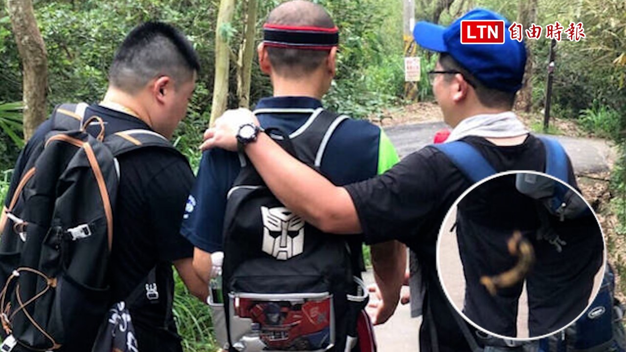 台中大坑步道毛毛蟲大爆發，天降蠕動嚇壞遊客🕷️