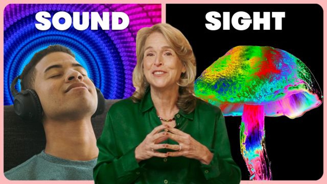 How Magic Mushrooms Affect The 5 Senses