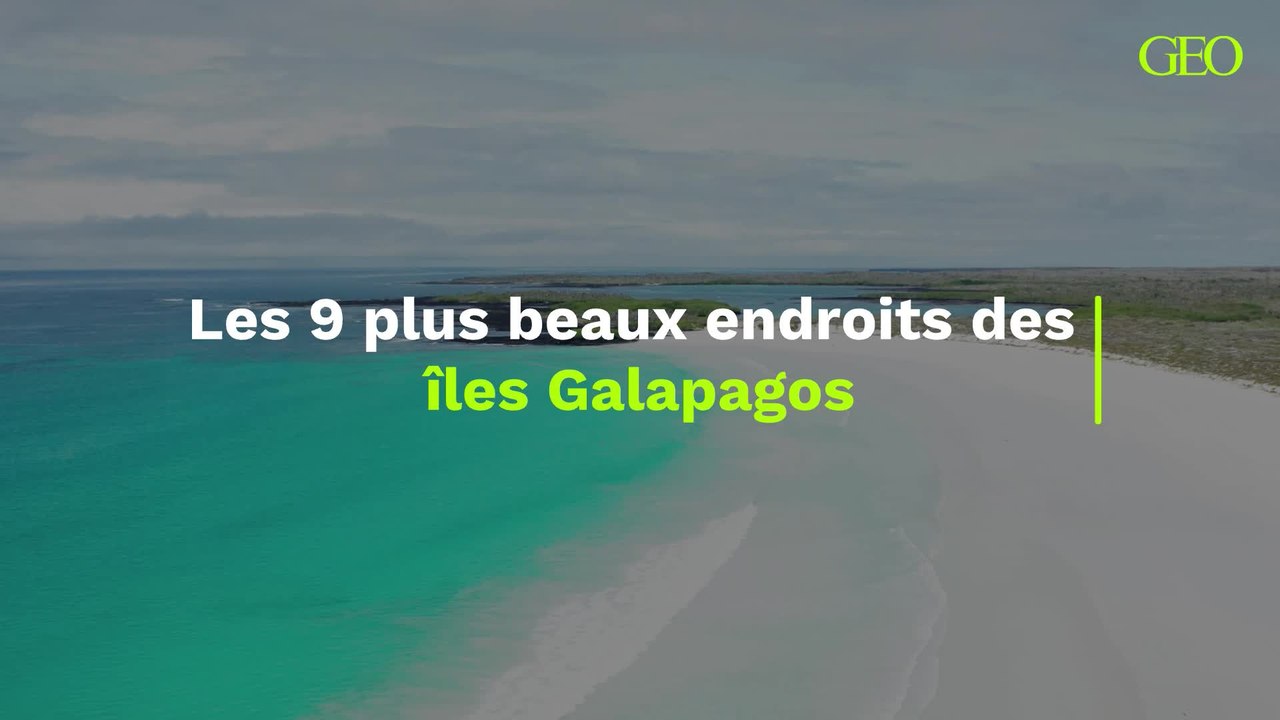 Les 9 plus beaux endroits des îles Galapagos