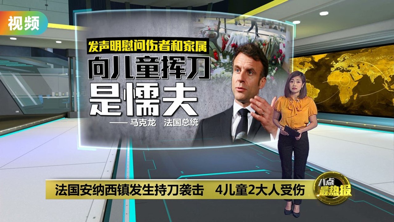 法国公园发生随机持刀袭击   现场惨叫声不断