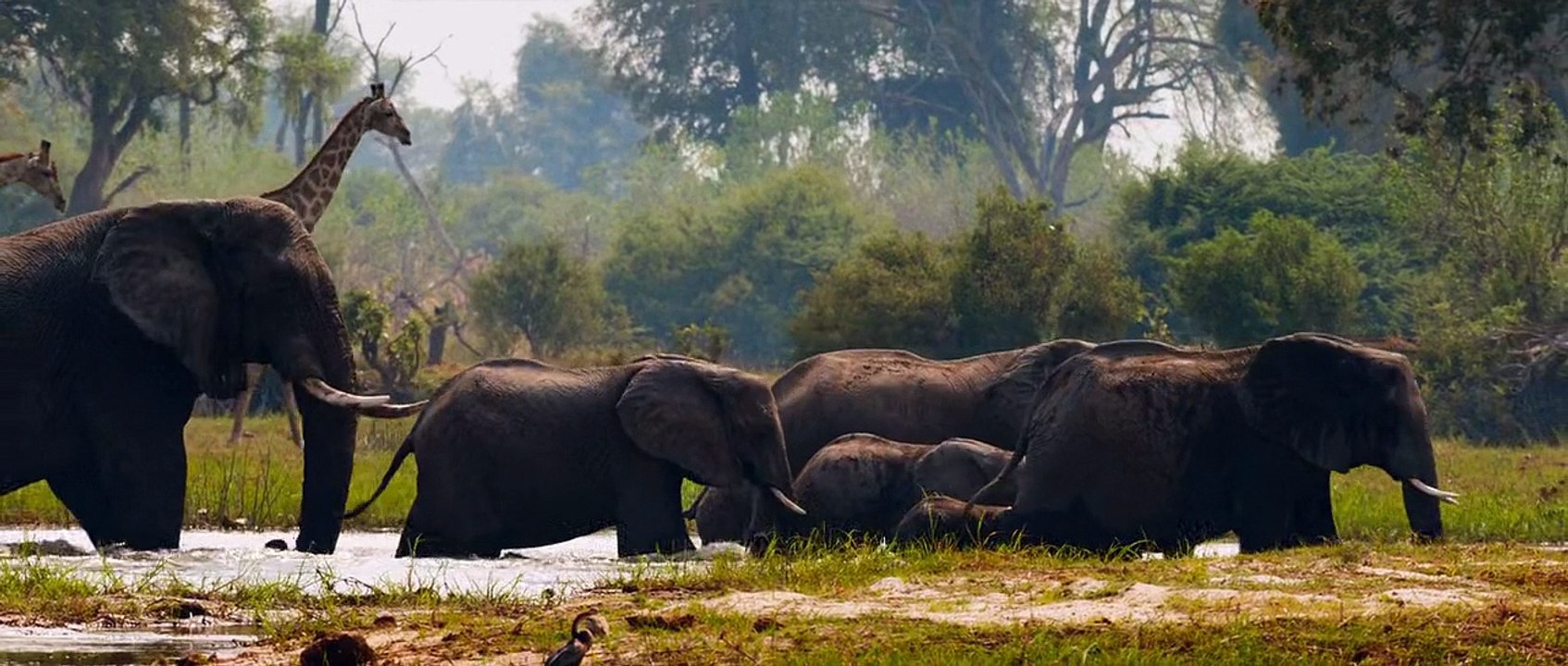 Netflix Documentary | Our Universe E05 Water World HD