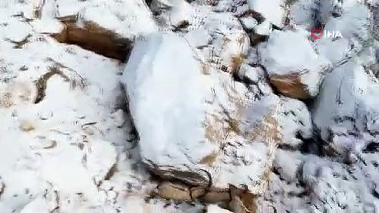 Dağ keçileri, drona böyle yakalandı