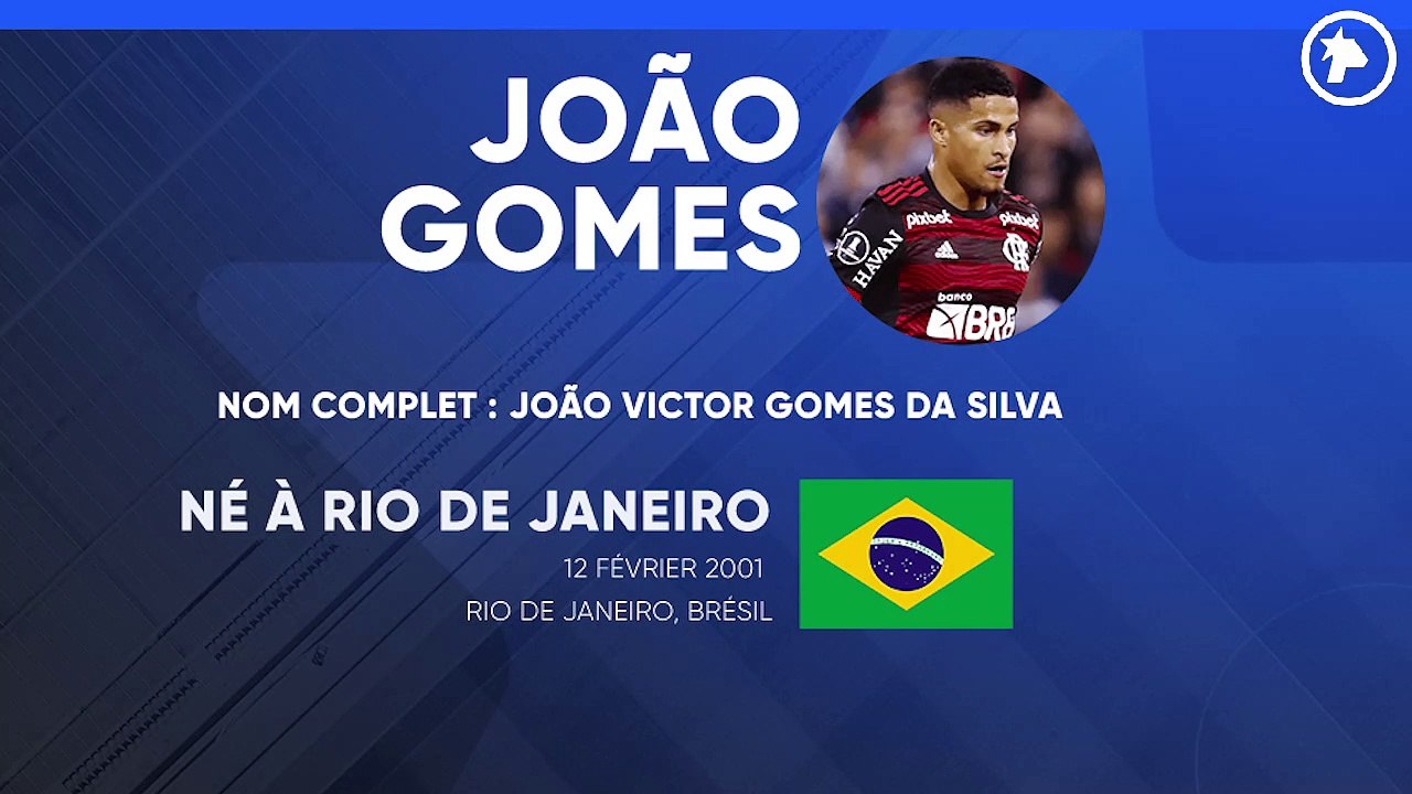 La fiche technique João Gomes