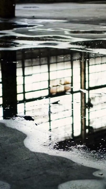 Jordi Wild presenta Dogfight Wild Tournament