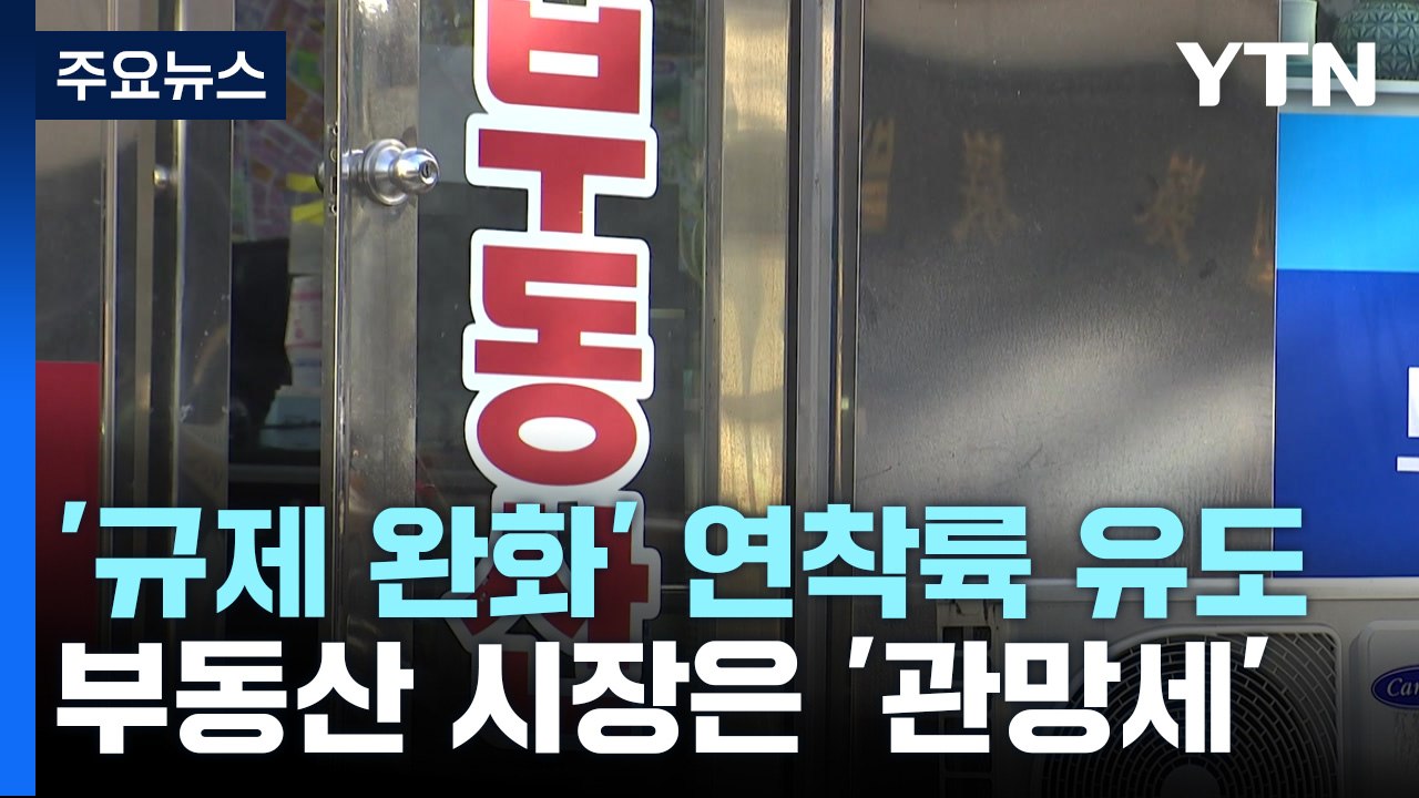 규제 완화책에도 부동산 시장은 '관망세' / YTN