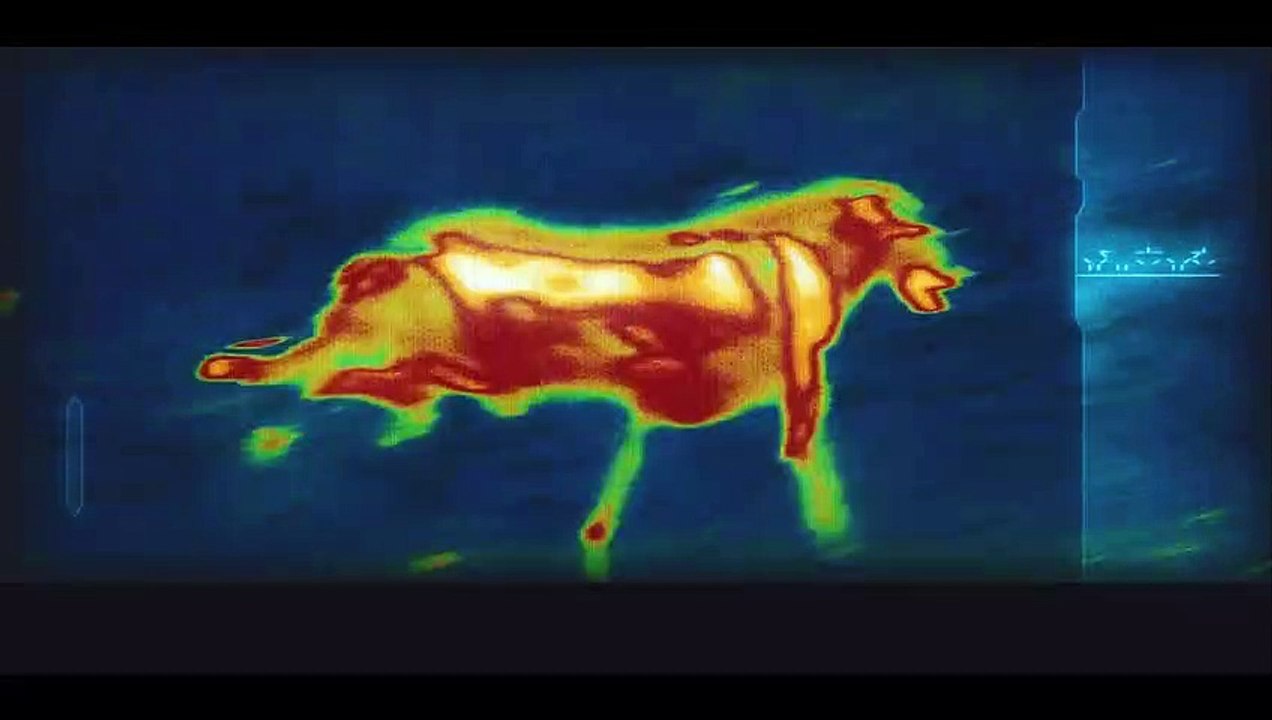 Prey Predator 2022 HD