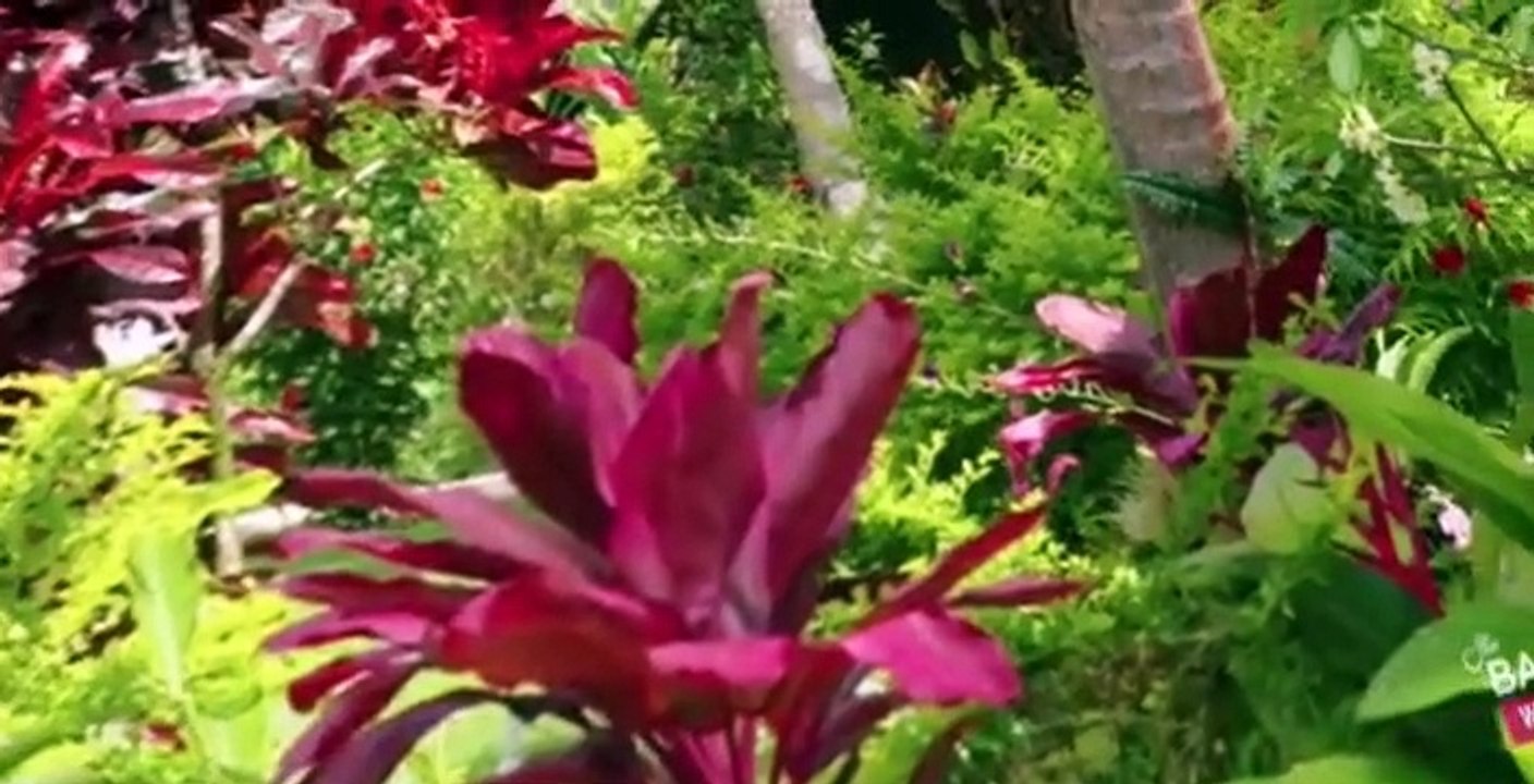 Bachelor In Paradise AU S03 E07