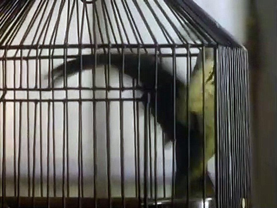 Boxing Helena | movie | 1993 | Official Trailer